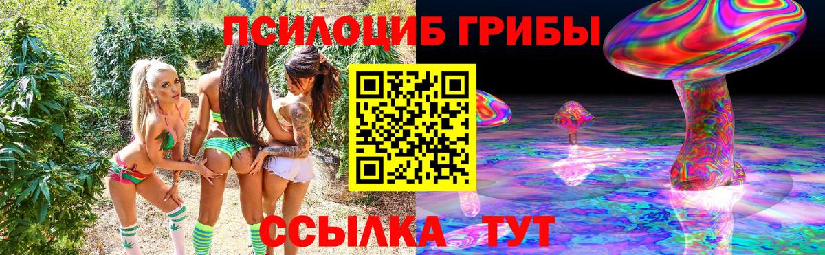 Псилоцибиновые грибы Psilocybe  Вход с VPN  Галлюциногенные грибы мухоморы  Урай 